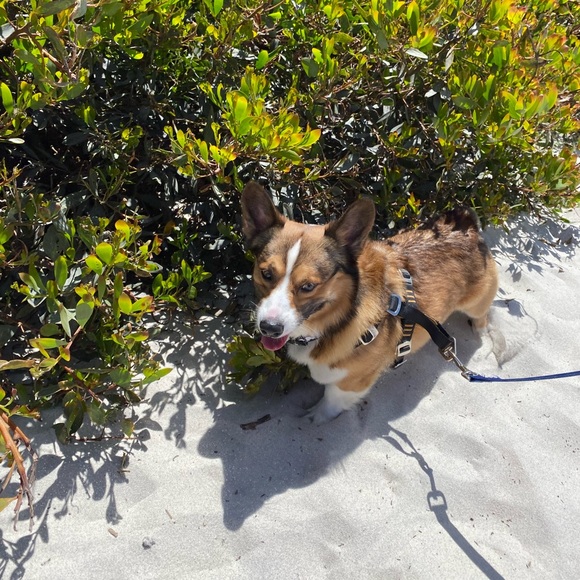 Meet your Posher, Michelle - Picture 1 of 1